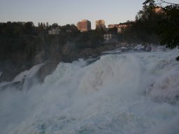 IMG_3105